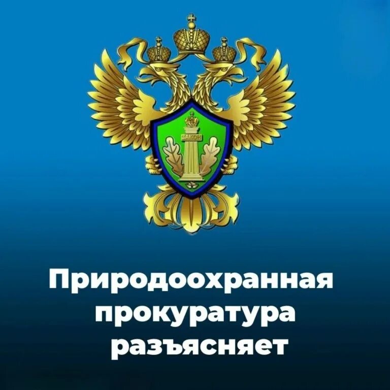 С 1 сентября 2026 года вступают в силу новые Правила использования лесов для осуществления геологического изучения недр, разведки и добычи полезных ископаемых